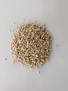 Pimienta blanca en grano por 1 Kg      